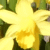 Profile picture of TheG’s