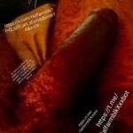 Profile picture of Halfarmblk